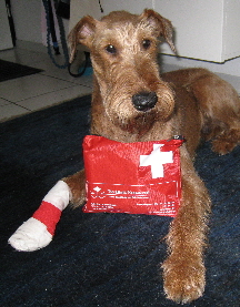 Diese Seite ist im Neuaufbau