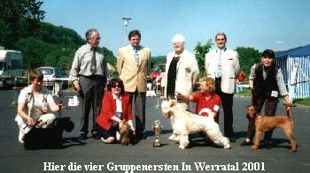 Gruppenersten
