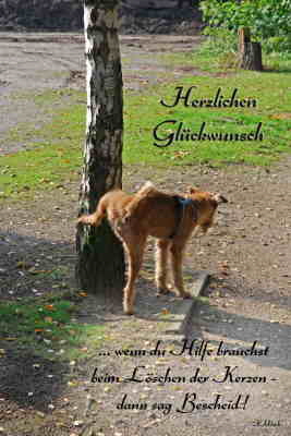 Titus bei der Arbeit