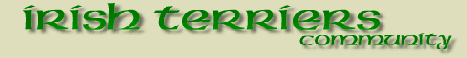 Irish Terrier Community