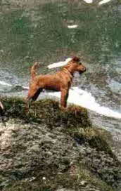 Ein sch�ner Ausblick