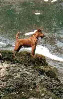 Ein sch�ner Ausblick