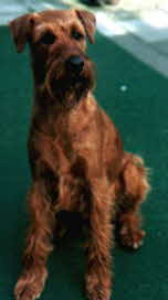 Bin ich nicht auch sch�n?